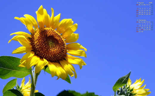 493688 (a): :1680x1050